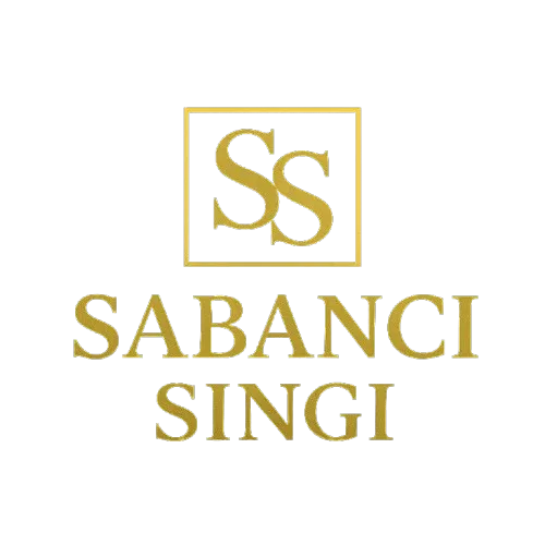 ChatGPT_Image_16_Eki_2025_11_59_53-removebg-preview